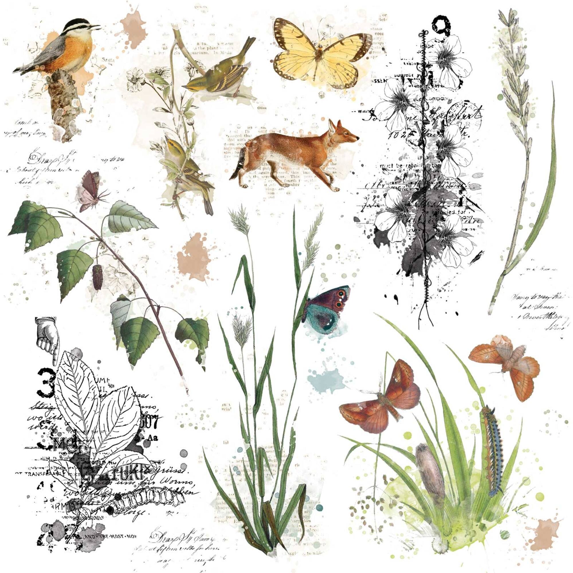 49 and Market Curators Meadow Rub-On Transfer Sheet